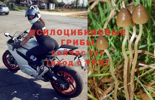 каннабис Алзамай
