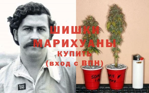 каннабис Алзамай
