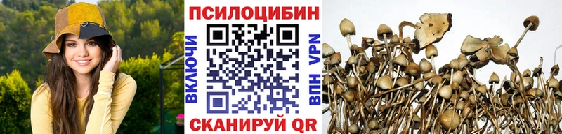 Псилоцибиновые грибы Psilocybe  где купить наркоту  Кола 